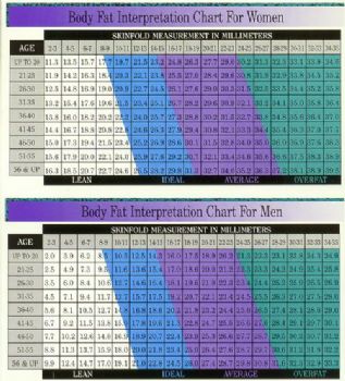 Body Composition: How to determine your fat to muscle ratio