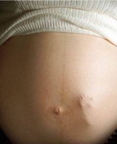 Tips Conceivingbaby on Conceiving A Baby With The Help Of Food   Baby Nutrition Care Tips