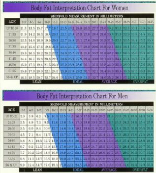 What Is My Body Fat Percentage Chart