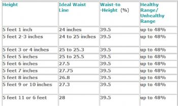 Ideal Waist Measurement Chart