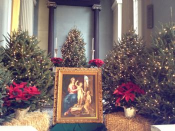 When Does Your Christmas Tree Come Down