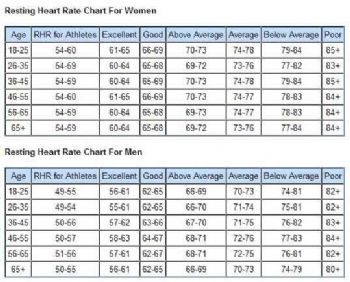 Average Standing Heart Rate Chart