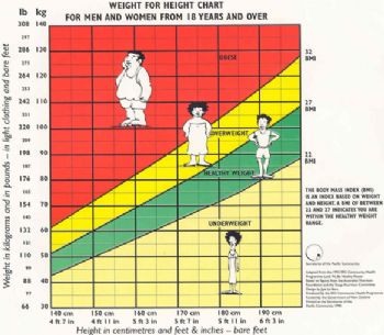 Height Weight Body Type Chart