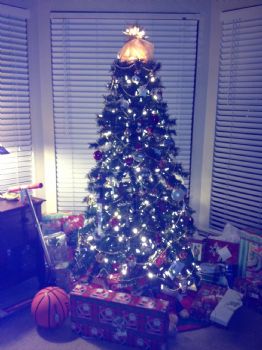 when does your christmas tree come down when does your christmas tree come down