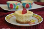 Cheesecake Treats