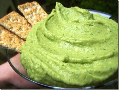 FANNETASTIC FOOD'S Hummus Guacamole