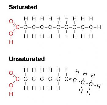 Saturated Fat Vs Unsaturated 60