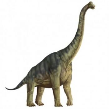 what is the tallest dinosaur that ever lived