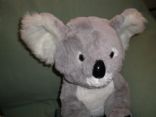 Koala_Bear