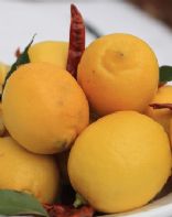 Tangy & Spicy Recipes with Cool Accompaniments