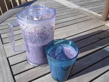 Image of Blueberry Protein Shake, Spark Recipes