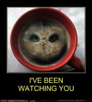 someone is always watching me
