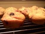 Image of Berry Muffins, Spark Recipes