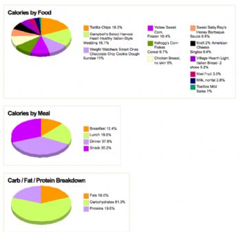 healthy lifestyle chart