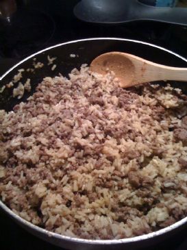 Spicy Hamburger and Rice