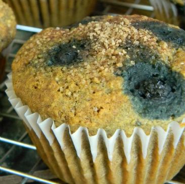 Image of Gluten-free, Soy-free, Vegan Blueberry Cornmeal Muffins, Spark Recipes